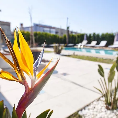 Sade Nocleg ze śniadaniem